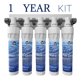 EcoloBlue 30 QC Filters - 1 Year