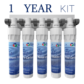EcoloBlue 30 QC Filters - 1 Year Alkaline Kit