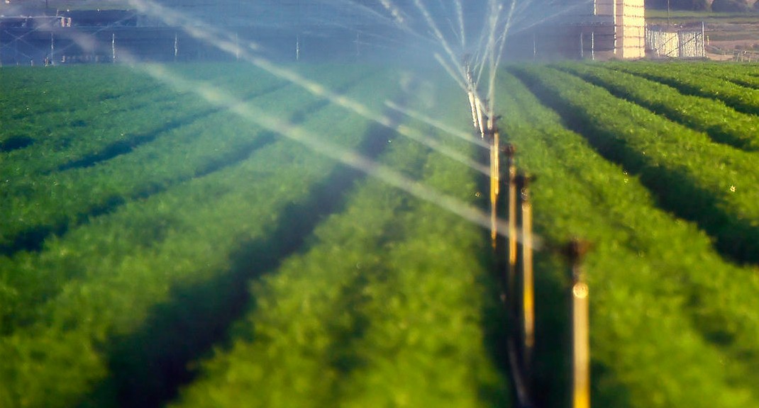 BRING BACK THE WATER