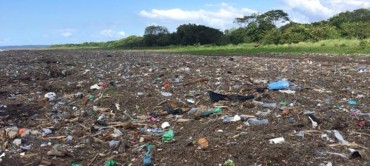 Real Life Examples of Plastic Pollution