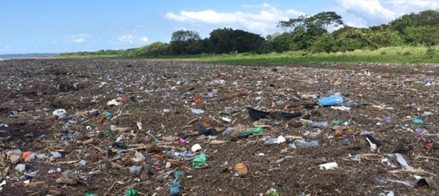 Real Life Examples of Plastic Pollution